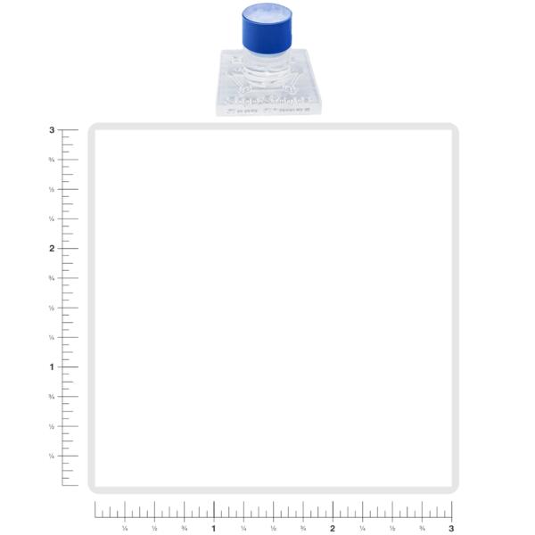 Pottery Stamp 3X3 Thumbnail